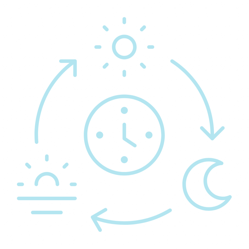 The image represents a daily routine or circadian rhythm.