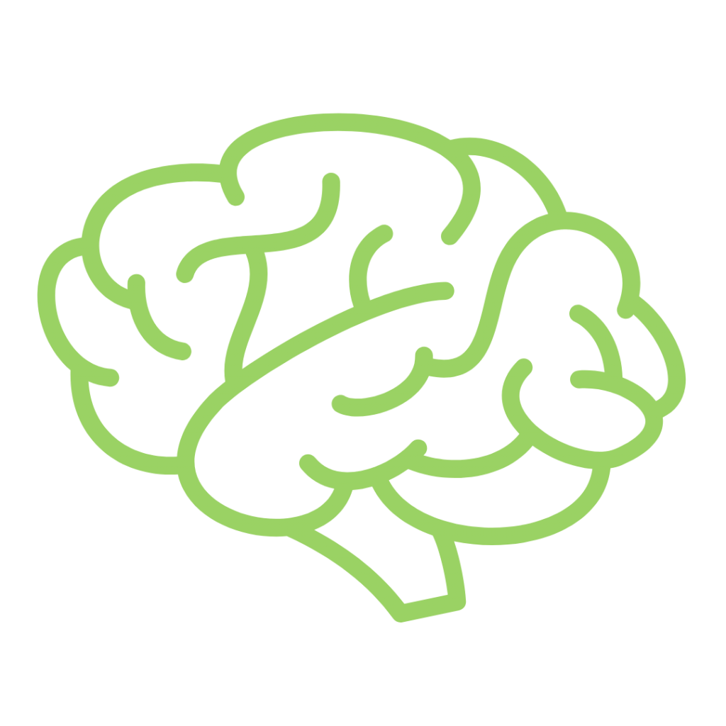 A line drawing of a human brain.