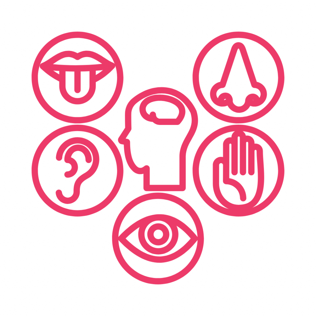 A hot pink icon set depicting the five senses surrounding a human head. In the center, a simplified outline of a head shows a brain within. Clockwise from the top, the surrounding circular icons are: a mouth with a tongue sticking out (taste), a nose (smell), a hand with fingers spread (touch), an eye with a visible pupil (sight), and an ear (hearing).