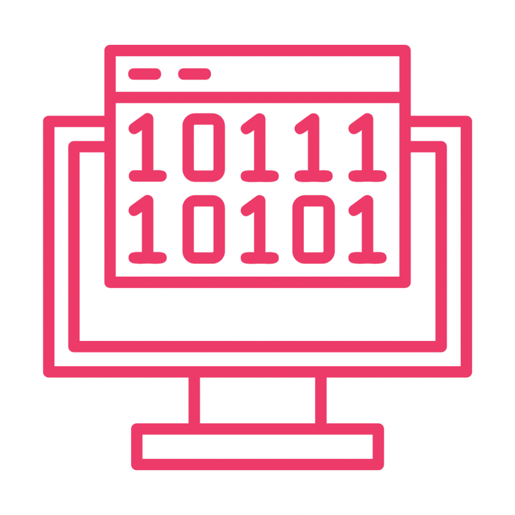 A hot pink line-art icon shows a computer monitor displaying a web browser window. Inside the browser window, binary code (10111 and 10101) is prominently featured.