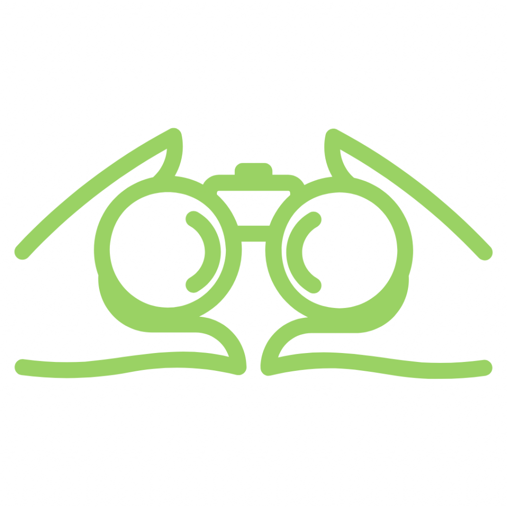 A lime green line drawing illustration of a pair of binoculars being held up to the eyes (represented by stylized hands/fingers wrapping around the eyepieces), symbolizing observation, future planning, assessment, or looking ahead.